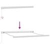 vidaXL Retractable Awning Green and White 300 x 250 cm