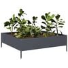 Product Thumbnail Image 3 of 10