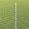 Product Thumbnail Image 4 of 11
