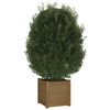 vidaXL Garden Planters 2 pcs Honey Brown 40x40x40 cm Solid Pinewood