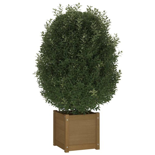 vidaXL Garden Planters 2 pcs Honey Brown 40x40x40 cm Solid Pinewood