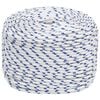 vidaXL Multipurpose Utility Rope 10 mm 25 m White and Blue PP