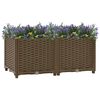 Product Thumbnail Image 6 of 9