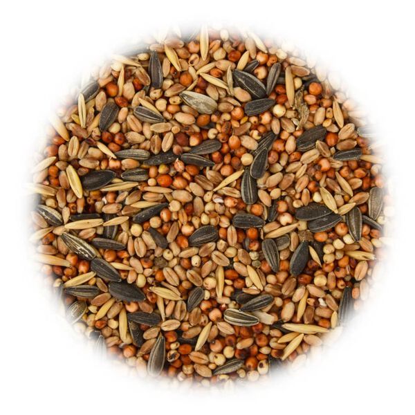 vidaXL Bird Food 25 kg