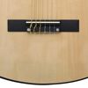 vidaXL Classical Guitar for Beginner with Bag 4/4 39"