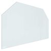 vidaXL Fireplace Glass Plate Transparent 100 x 60 cm Glass