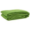 vidaXL Tent Carpet Light Green 200x200 cm HDPE