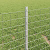 Product Thumbnail Image 4 of 6