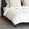 vidaXL Duvet Set with Pillow 3 pcs White Down Feather