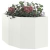 Product Thumbnail Image 3 of 12