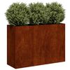 Product Thumbnail Image 3 of 10