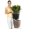 LECHUZA Planter CLASSICO LS 43 ALL-IN-ONE Taupe High Gloss 16085