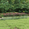 Product Thumbnail Image 2 of 8