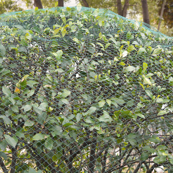 vidaXL Anti-bird Nets 5 pcs 4x5 m PE