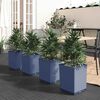 Product Thumbnail Image 2 of 8