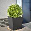Product Thumbnail Image 2 of 10