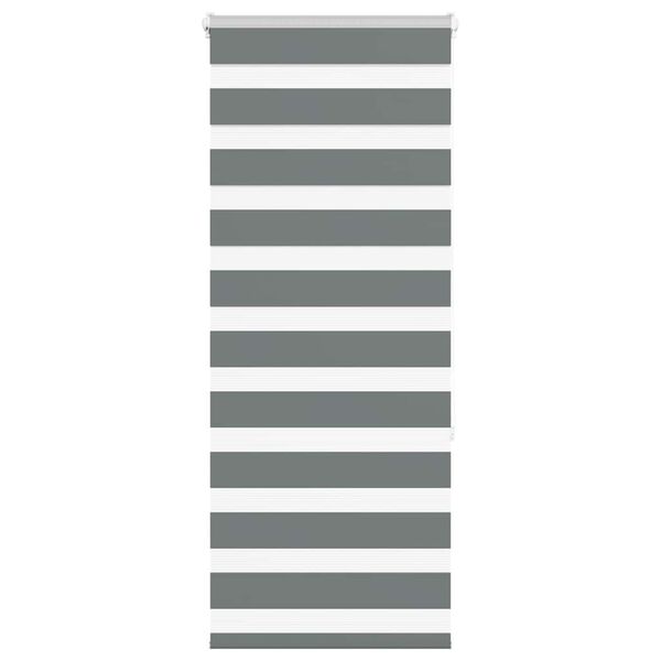 vidaXL Zebra Blind Dark Grey 55x150 cm Fabric Width 50.9 cm Polyester