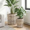 Product Thumbnail Image 2 of 9