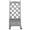 Product Thumbnail Image 3 of 8