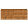 Product Thumbnail Image 4 of 19