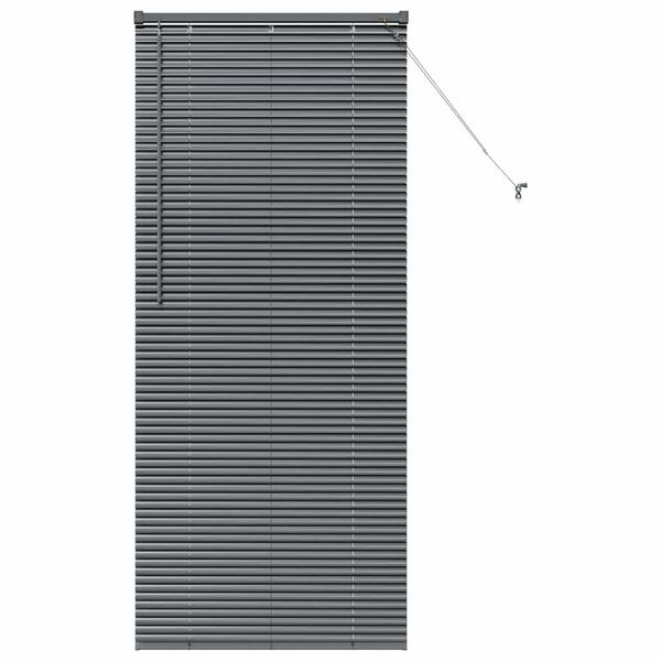 vidaXL Window Blind with Curtains Manual Dark grey Aluminium