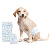 vidaXL Disposable Dog Diaper Male 30 pcs White M