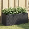 vidaXL Garden Planters with 2 Pots 2 pcs Black 72x30x32 cm Poly Rattan