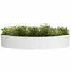 vidaXL Planter Ring 5 pcs White 120 x 120 x 20 cm Cold-rolled Steel