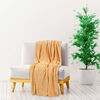 Product Thumbnail Image 2 of 5