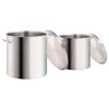 vidaXL 2 Piece Stock Pot Set 50/25 L Stainless Steel
