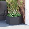Product Thumbnail Image 2 of 5