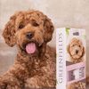 Greenfields Labradoodle Dog Shampoo and Spray Set 2x250 ml