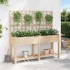 vidaXL Garden Planter Beige 161 x 46 x 152.5 cm Solid Fir Wood