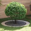 Product Thumbnail Image 2 of 9