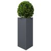 Product Thumbnail Image 4 of 12