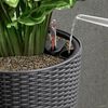 LECHUZA Planter CILINDRO Cottage 23 ALL-IN-ONE Diameter 23 cm Granite black