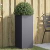 Product Thumbnail Image 2 of 10