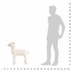 Product Thumbnail Image 4 of 5