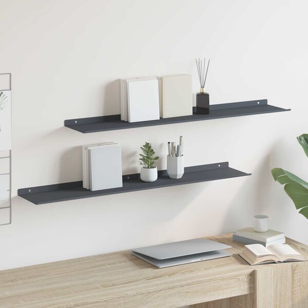 vidaXL Floating Shelf 2 pcs Anthracite 100 x 18 x 2.5 cm Steel