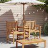 vidaXL Garden Outdoor Chairs 152 x 63 x 89 cm Solid Teak Wood