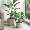 Product Thumbnail Image 3 of 10