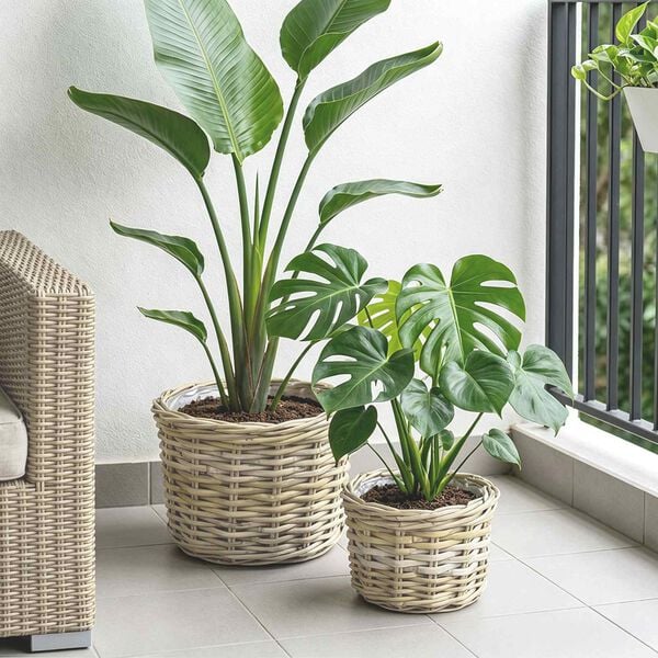Showing Product Image 3 of 10