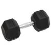 vidaXL Dumbbells 2 pcs 20 kg Total Cast Iron