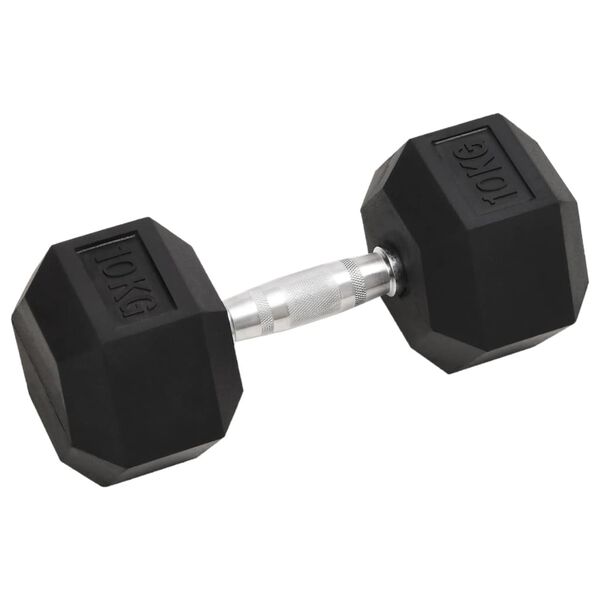 vidaXL Dumbbells 2 pcs 20 kg Total Cast Iron