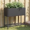 Product Thumbnail Image 2 of 11
