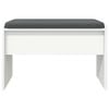 vidaXL Hall Bench with Cushion White 63 x 38 x 40 cm