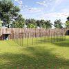 vidaXL Dog Kennel Black 37.51 m² Steel