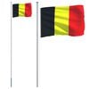 vidaXL Belgium Flag and Pole 6.08 m Aluminium
