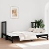 vidaXL Pull-out Day Bed without Mattress Black 2x(90x190) cm