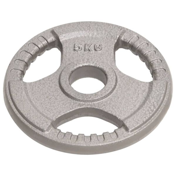 vidaXL Olympic Weight Plates 4 pcs 20 kg Cast Iron